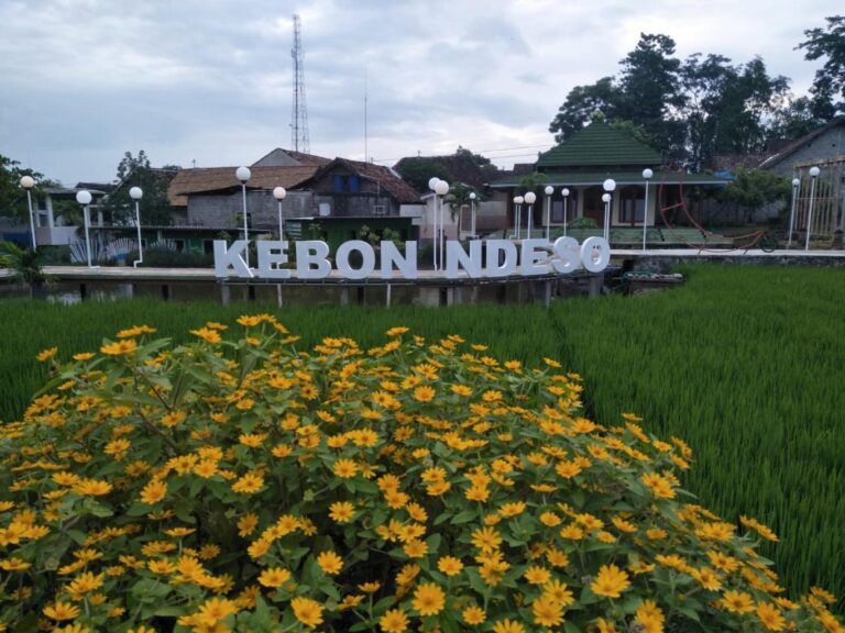 gambar_Destinasi Wisata Kebon Ndeso